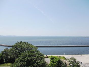 遠くまで広がる青い海。手前にはよく茂った木々がある。