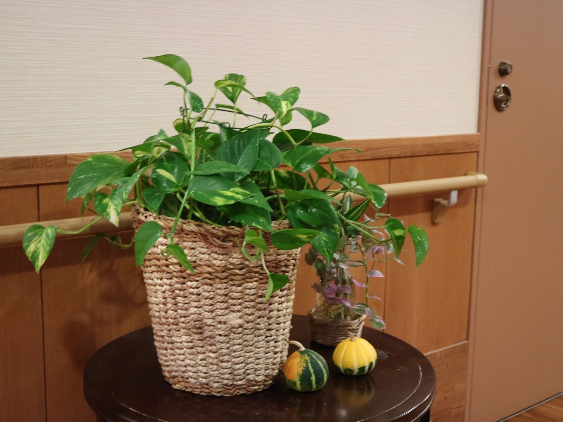 小さいテーブルの上に観葉植物が置かれている。その後ろの壁には手すりが設置されており、歩行の際につかまることができる。