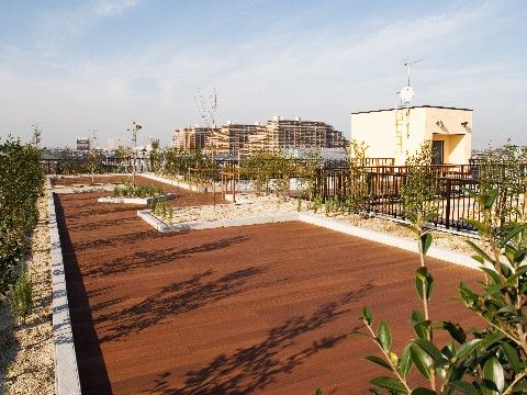 屋上には木々を植えているので、公園のような雰囲気がある。外に出ることが難しい入居者様も、気軽にお散歩をすることができる。