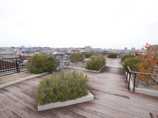 屋上庭園