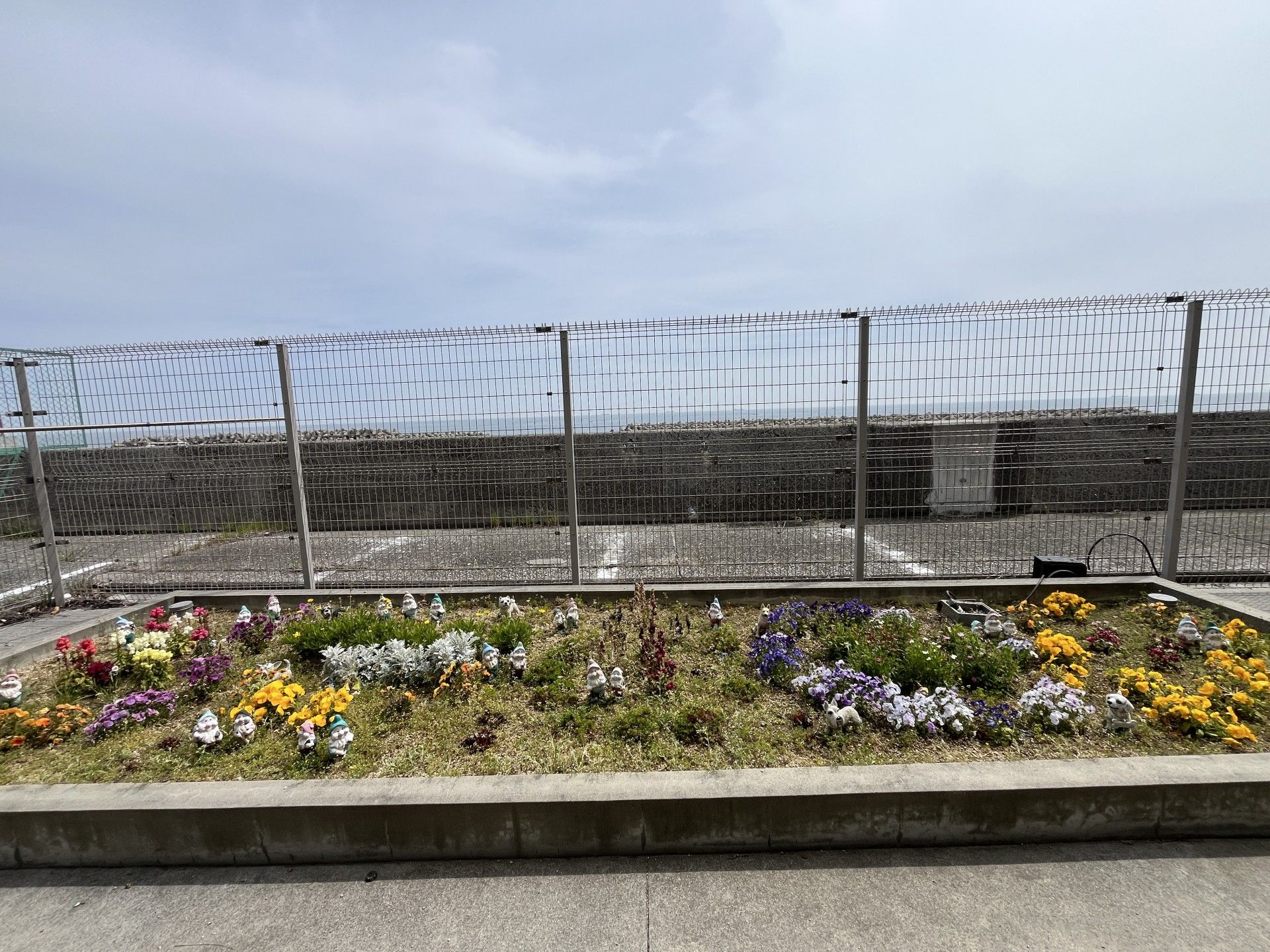 色とりどりの花壇