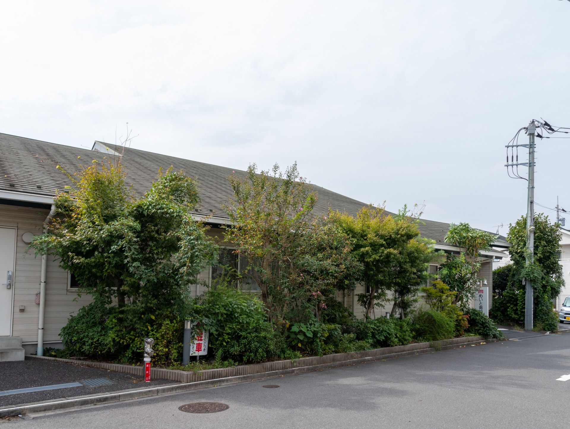 緑に囲まれた建物の外観