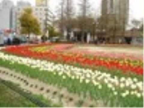 近隣には大きな公園があり、四季折々の花々が咲いている。運動不足やストレス解消の散歩コースに最適である。