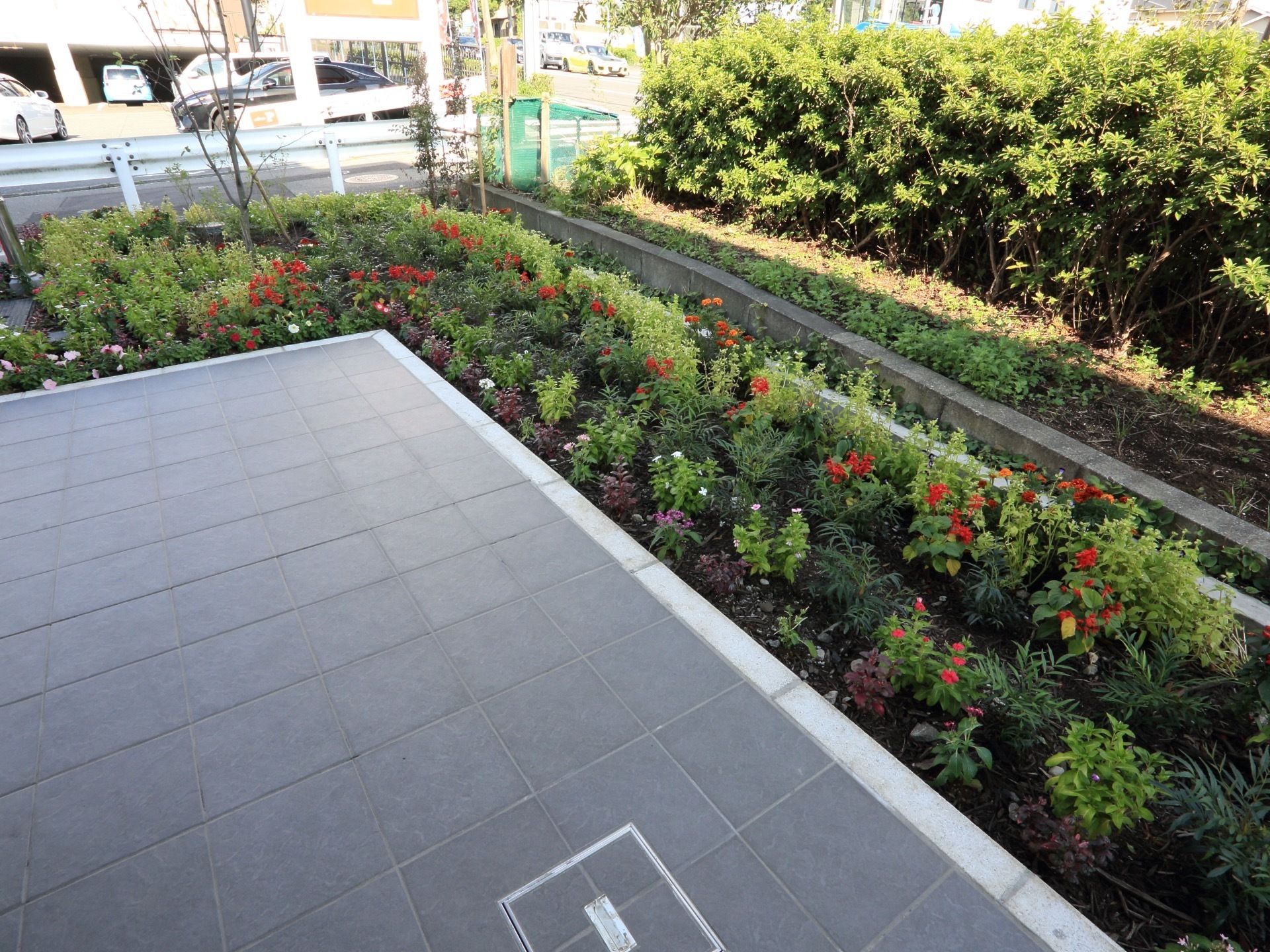 施設建物の周囲に完備されている花壇である。地植えで高さの低い、さまざまな季節の草花が植えられている。
