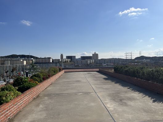 屋上庭園