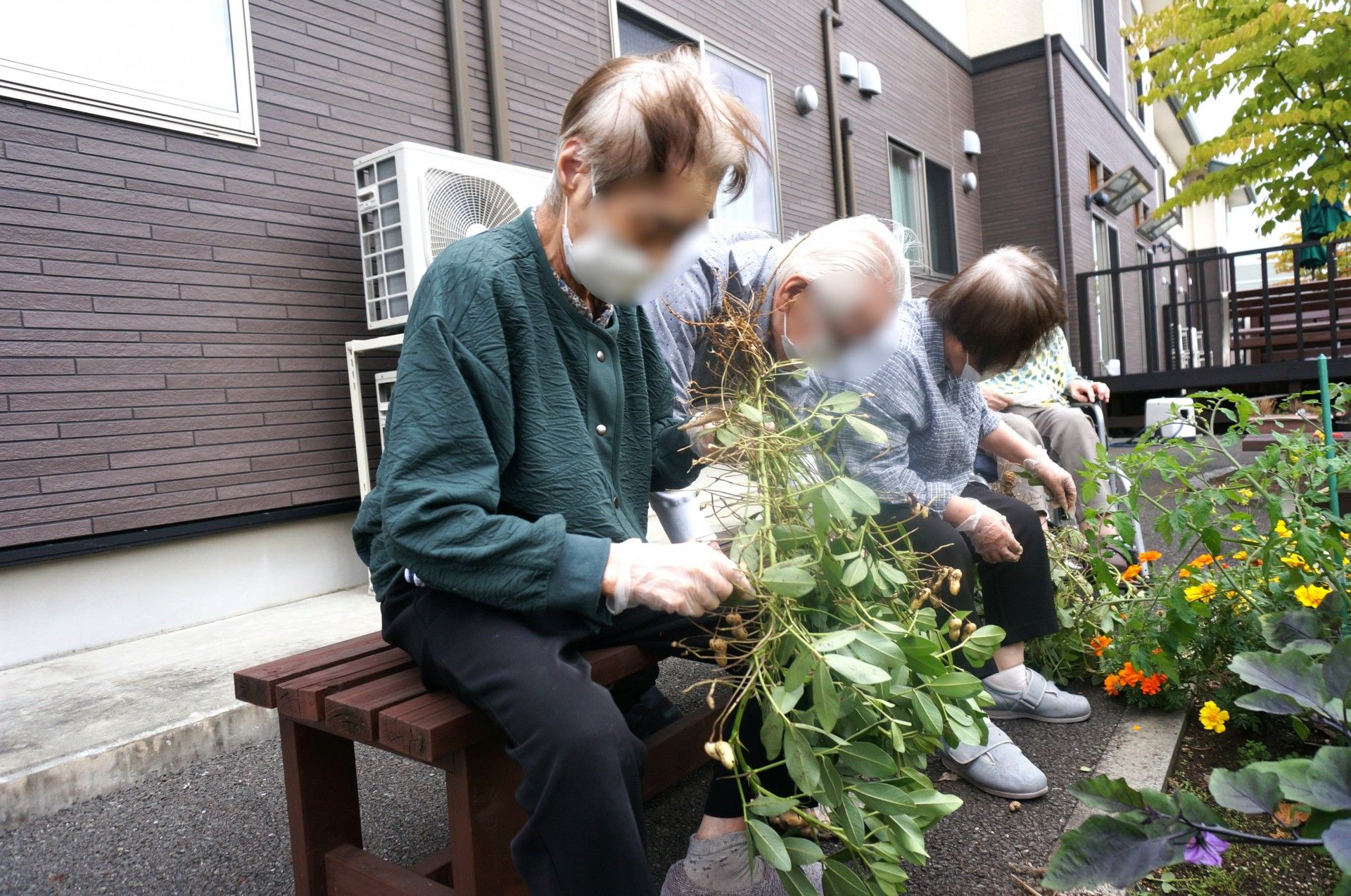 庭での園芸活動
