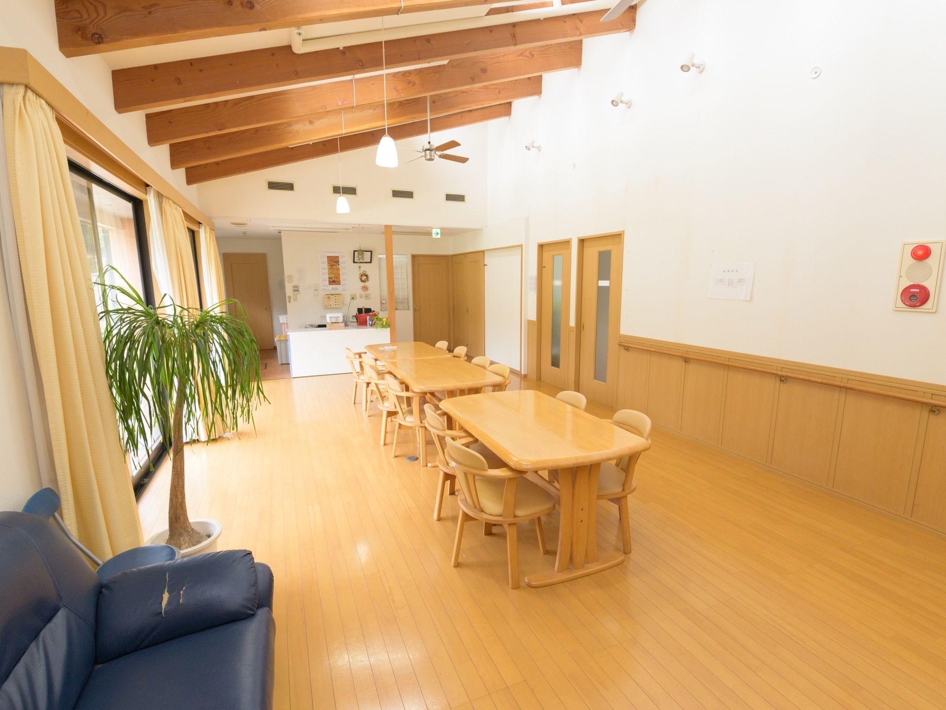 天井が高く木の梁が特徴的な食堂である。開放的な空間になっており、４人掛けテーブルやソファ、観葉植物が置かれている。
