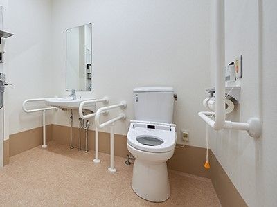 両側に手すりが取り付けてあります。るトイレと洗面台の様子。車いすのまま入れるヒ素差のトイレ