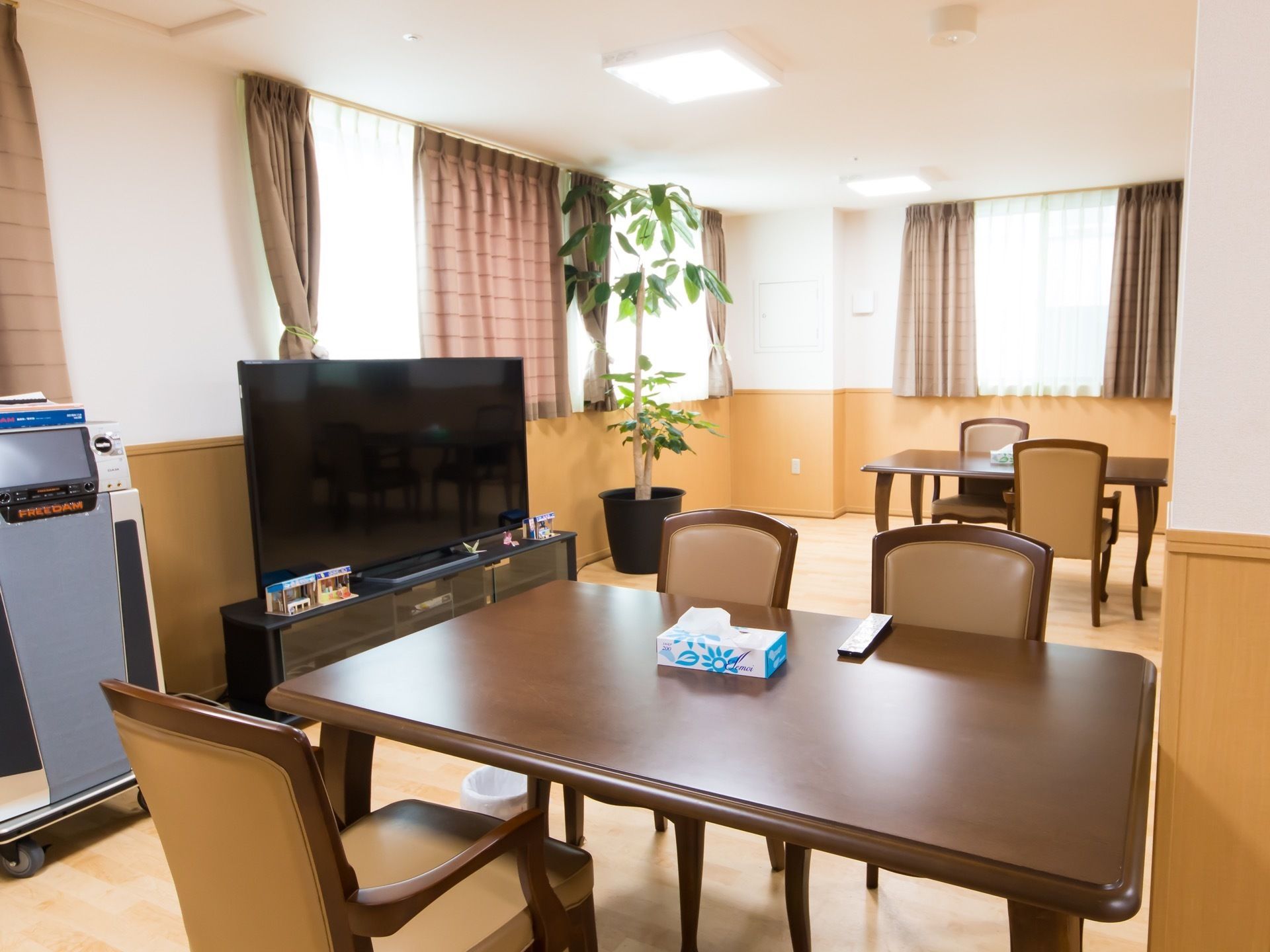 壁際に大型テレビがあり、その横に観葉植物と音響機材がある。ダイニングテーブルがあり、その上にボックスティシュが置かれている。
