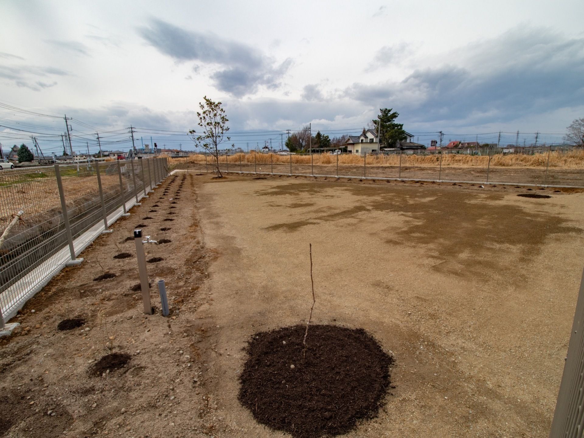 施設には植樹することができる広大な広さの庭がある。入居者様は苗木の成長状態を日々確認することができる。