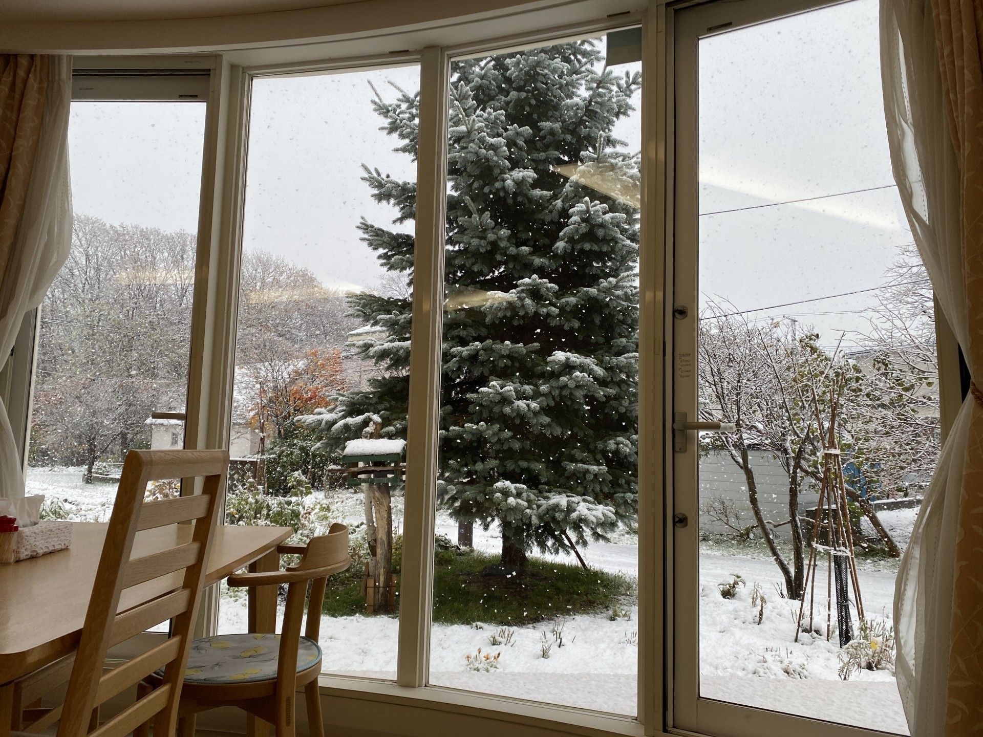 雪景色を望む部屋