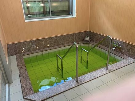 小さなプールのような形の共同浴室の様子。手すりがついた介護仕様の浴槽