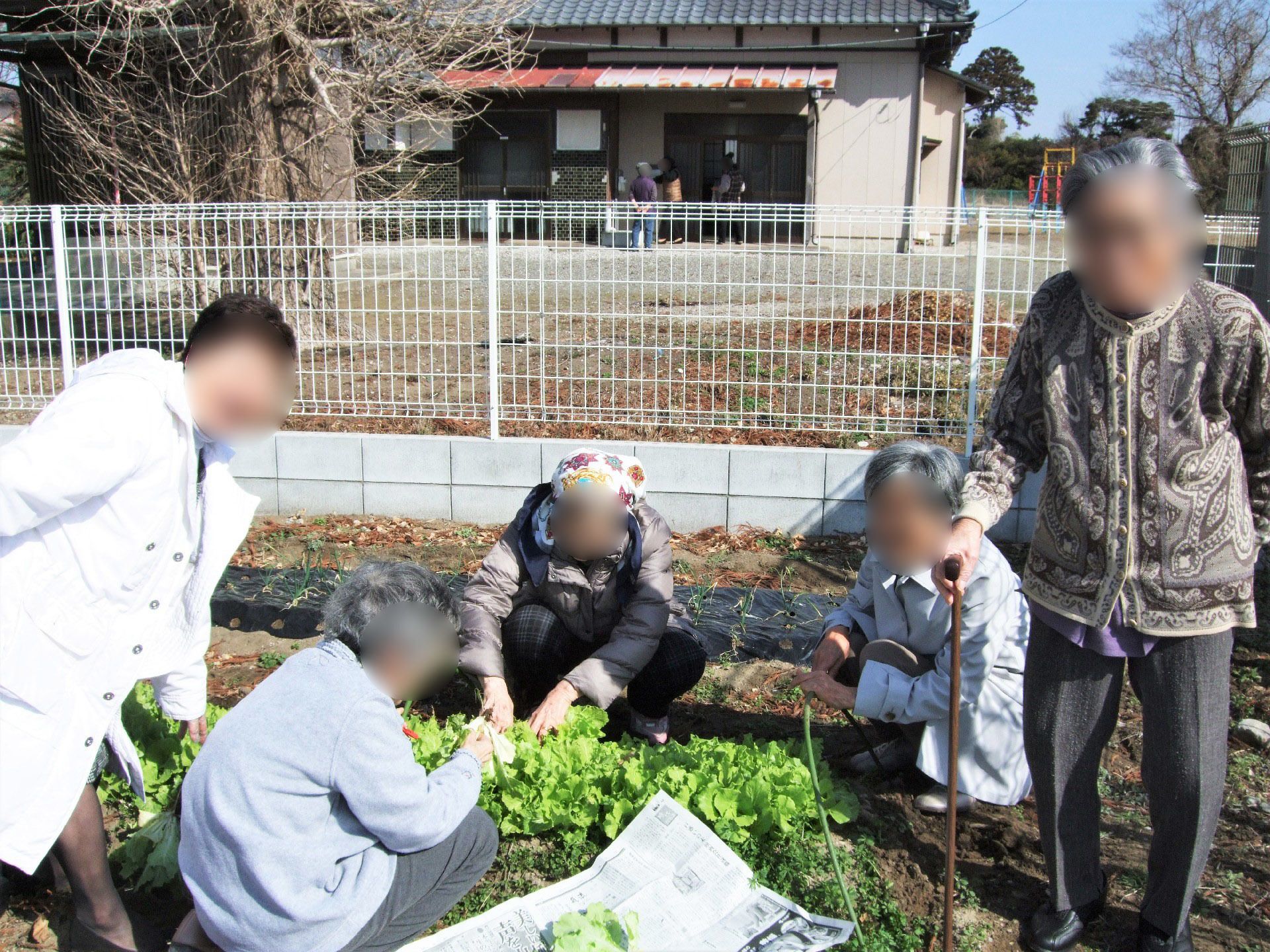 敷地にある畑で季節の野菜を収穫しているご入居様とスタッフ