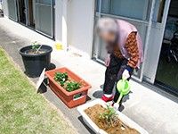 庭での植物の手入れ