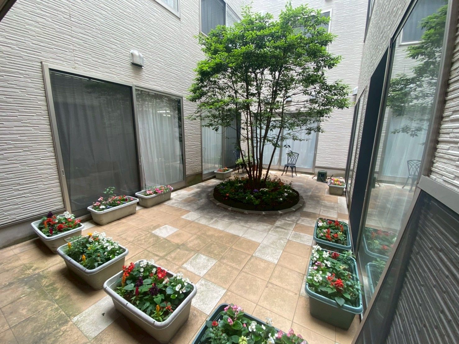 緑豊かな中庭