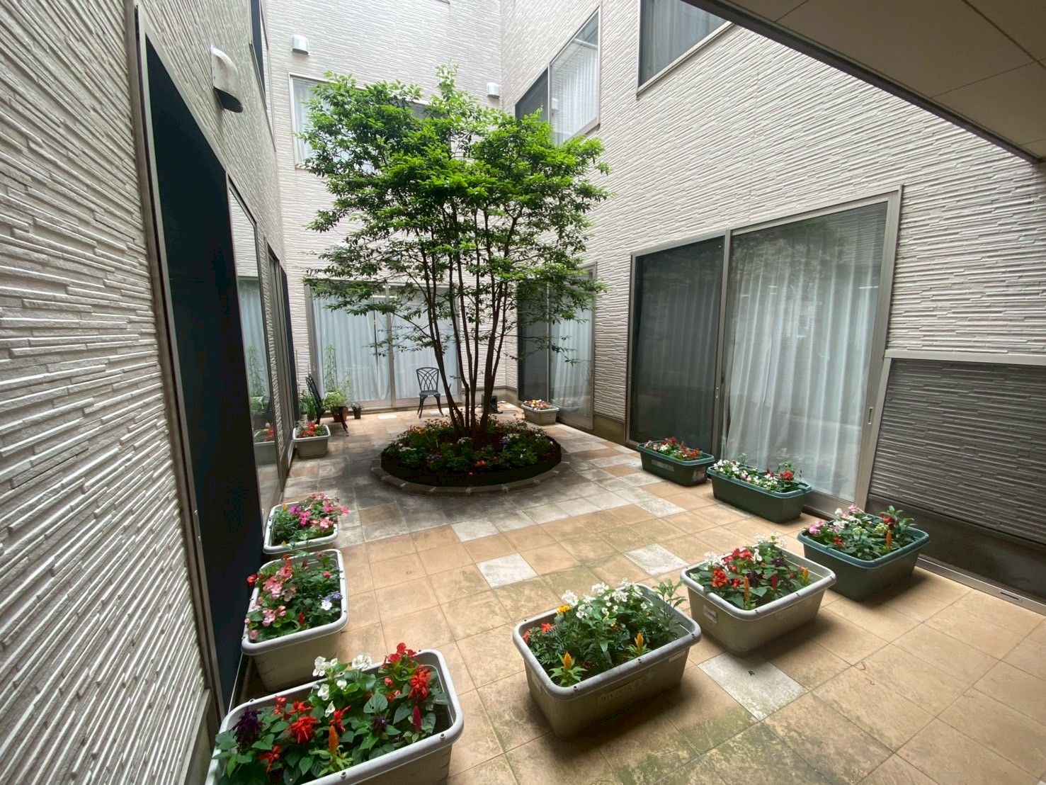 中庭の花壇と植栽