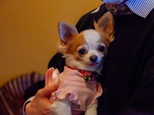 スタッフイメージ