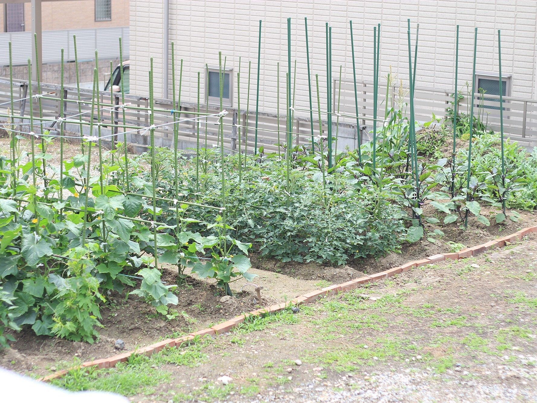 施設の建物の間にある中庭は木々や植木が置かれた緑豊かなスペースになっている。レンガ敷の広々とした広場は散歩にも最適。