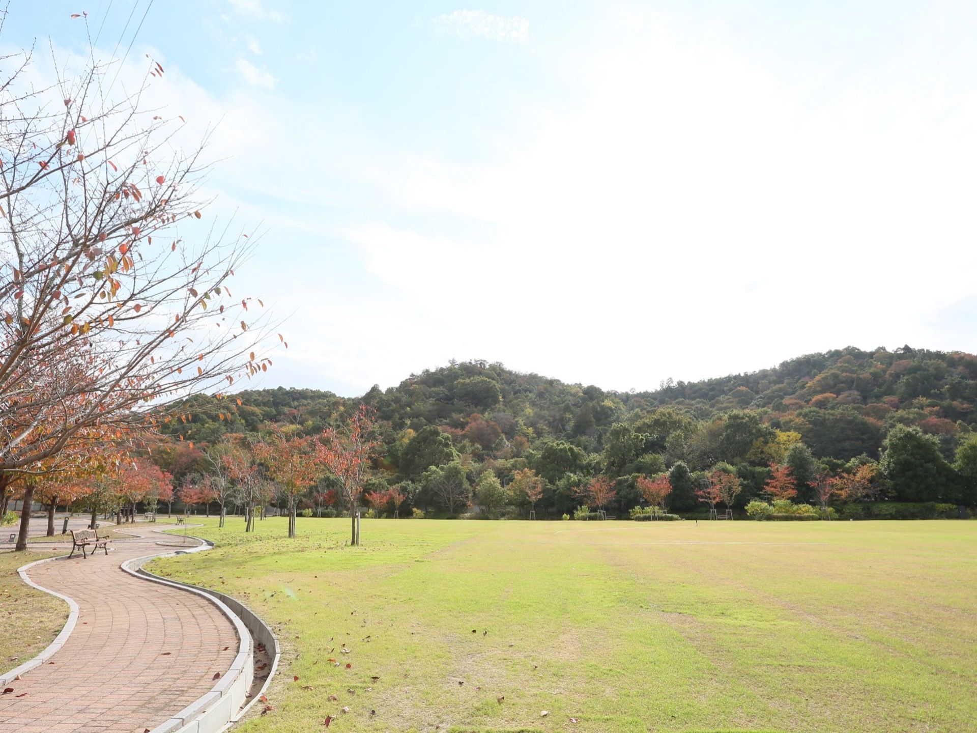 周りを山に囲まれた広々とした芝生の広場で、左側にレンガの小道が作られている。小道にはベンチが置かれている。