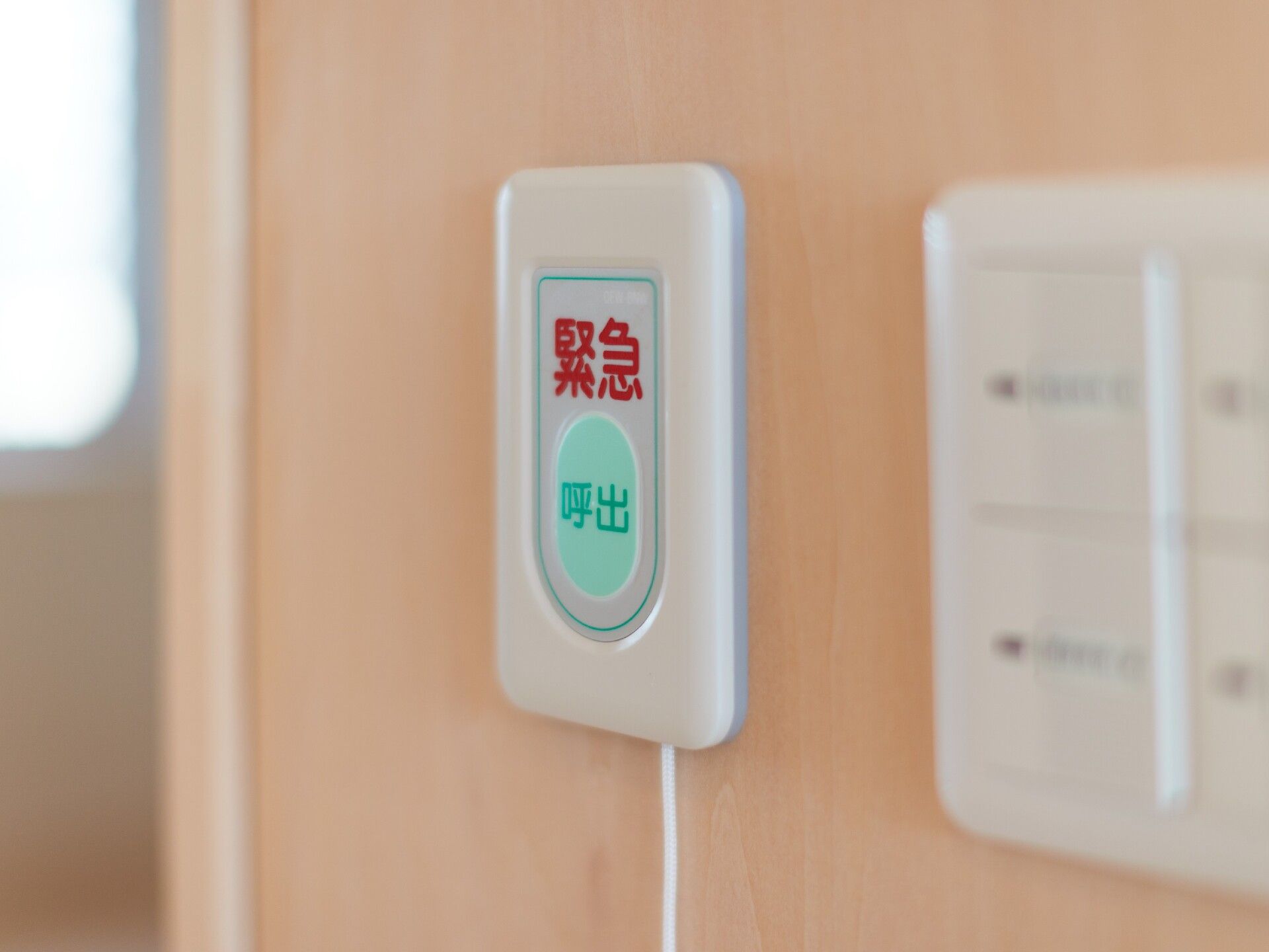 みどりと白の呼び出しボタンが壁に設置されていて、赤文字で「緊急」と書かれている。その隣には照明のスイッチがある。