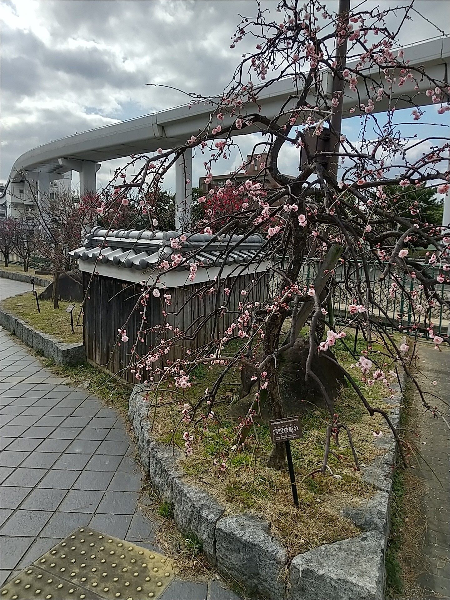 車いすに乗った女性を押す家族の男性とそこに寄り添う介護スタッフの様子