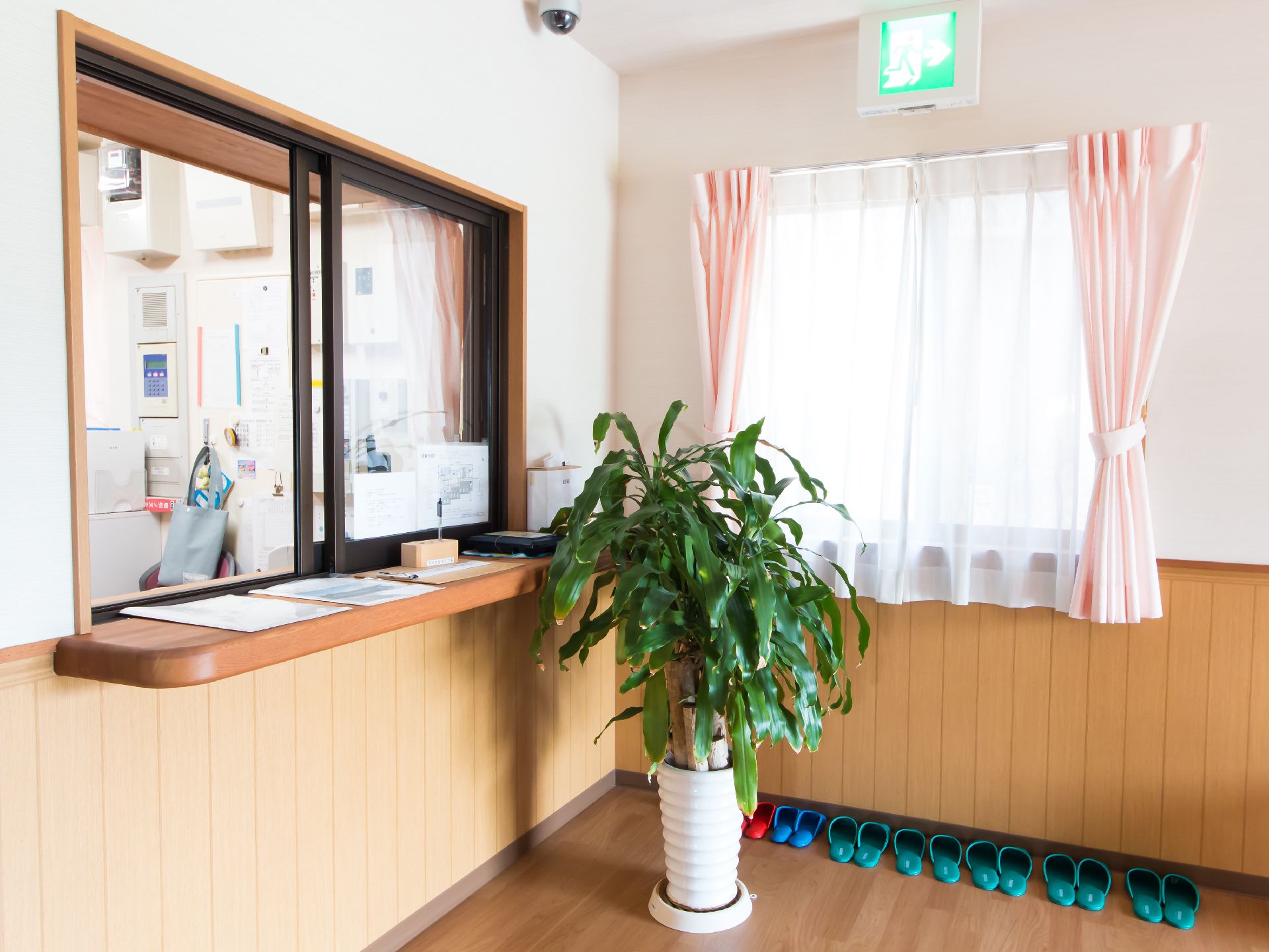 窓口のそばに飾られている観葉植物と床に並べられたスリッパ