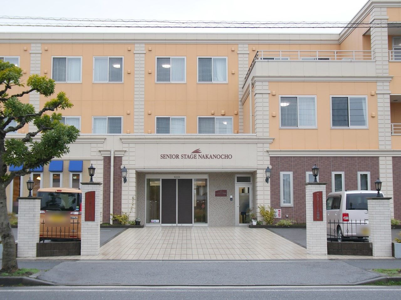 新聞を読む高齢の男性