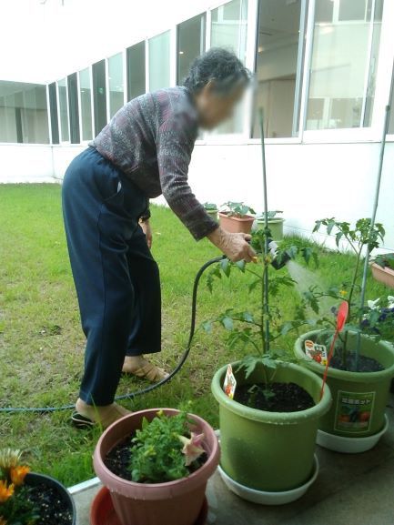 庭で植物に水をやる様子