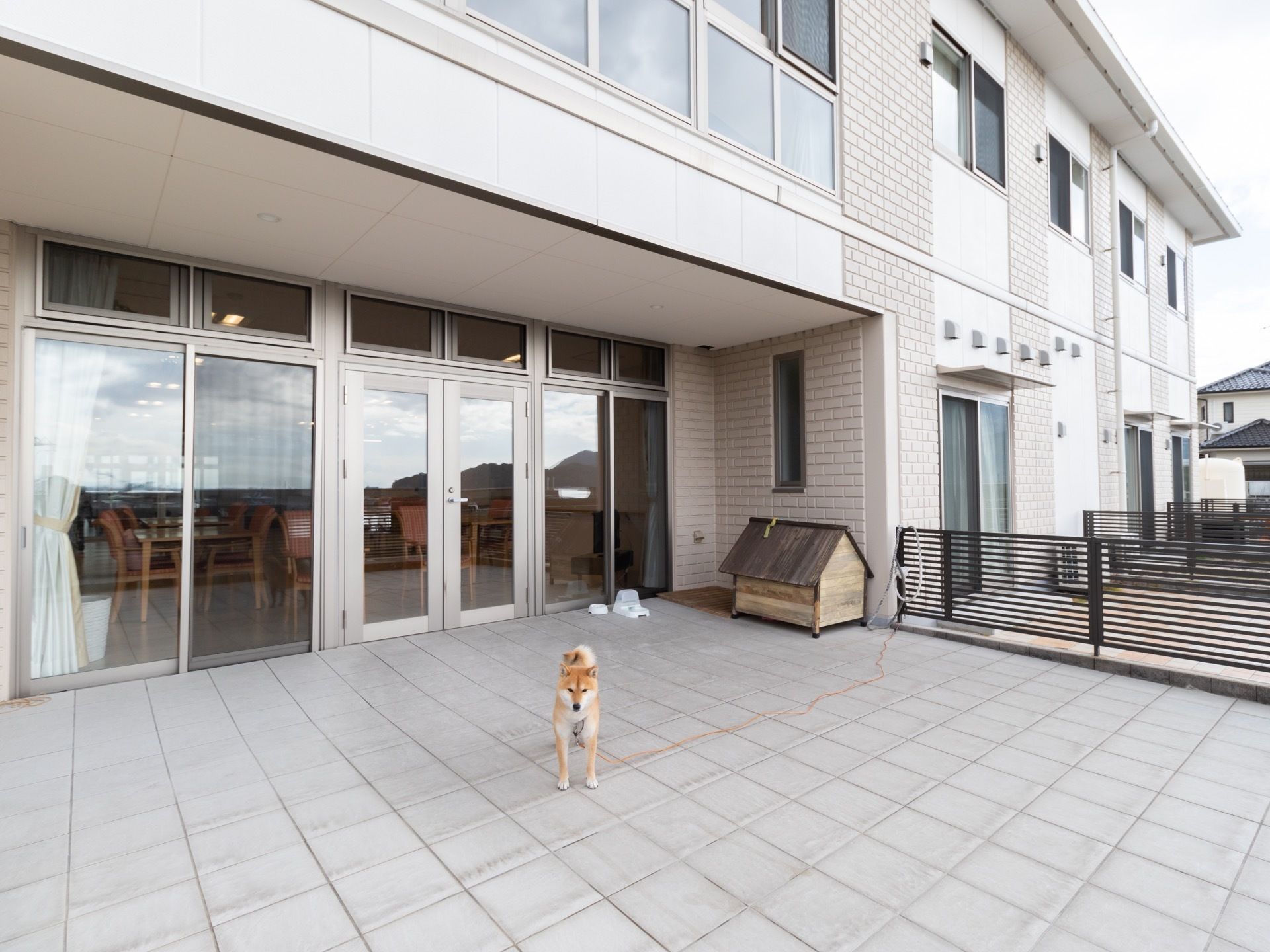 施設内には、広々とした柵を備えたテラスが完備されている。犬が１匹飼われており、入居者様に可愛がられている。