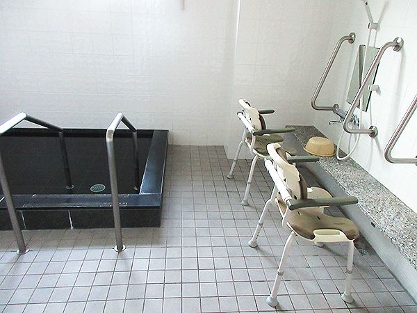 シャワーやシャワーチェアが設置された浴室。大きな黒い浴槽があり、出入り口には手すりが付いている。
