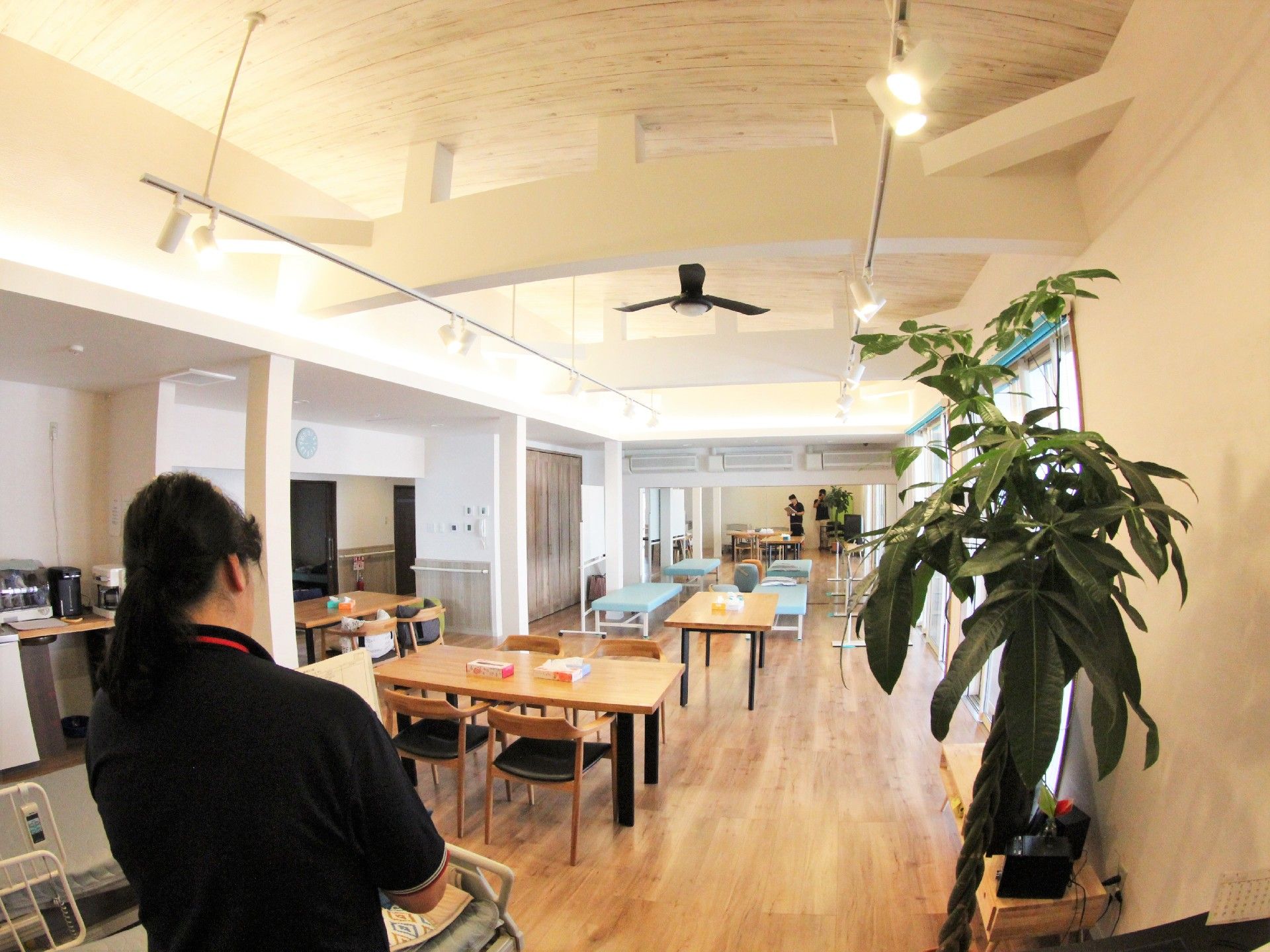 木製の椅子とテーブルが並ぶ部屋。天井と壁は白く、観葉植物が置かれている