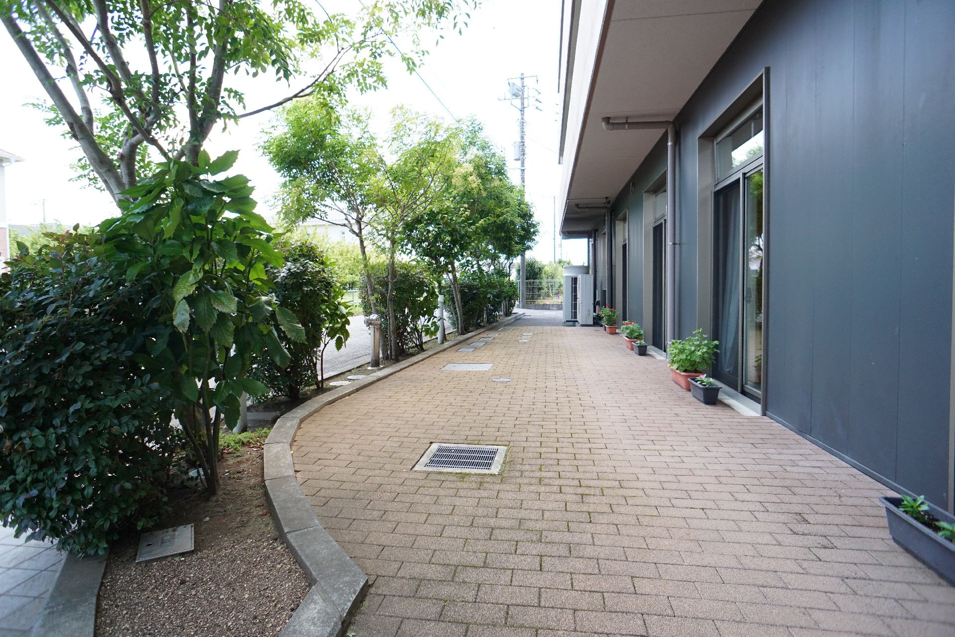 建物と自然に挟まれたブロック調の床