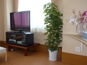テレビが窓際に置かれた食堂にはコスモスや観葉植物が飾られている。大きな窓にはカーテンもある。