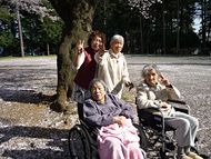 桜の木の下でカメラに向かってピースサインをする女性4名。
