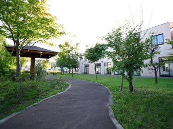 中庭にある植木