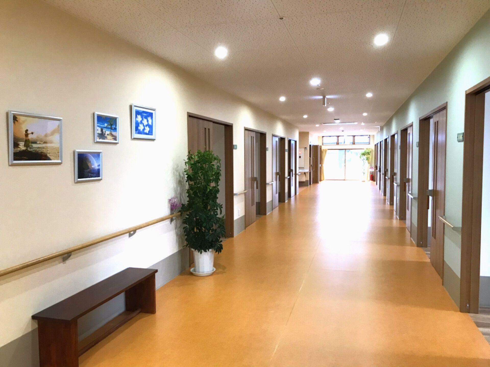 白い壁にはたくさんの絵画が飾られ、木製の手すりが付いている。観葉植物やベンチも置かれ、両サイドには居室のドアが並んでいる。
