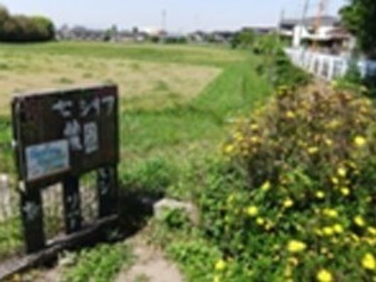 セシリア農園