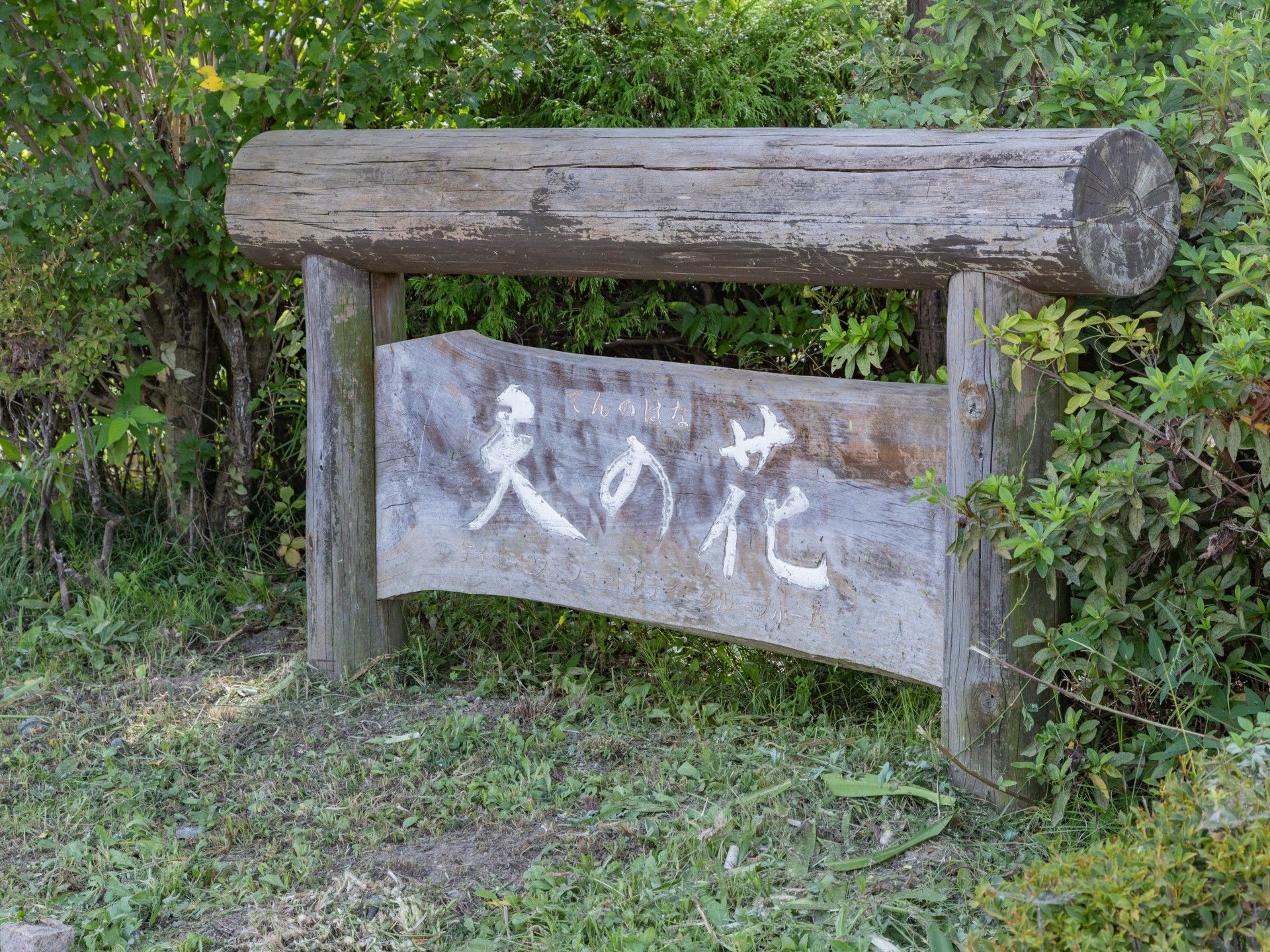 自然に囲まれた看板