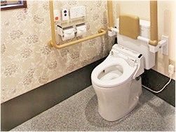 トイレは広く、両サイドに可動式の手すり、背もたれ、そして壁にもエル字型の手すりが付いている。