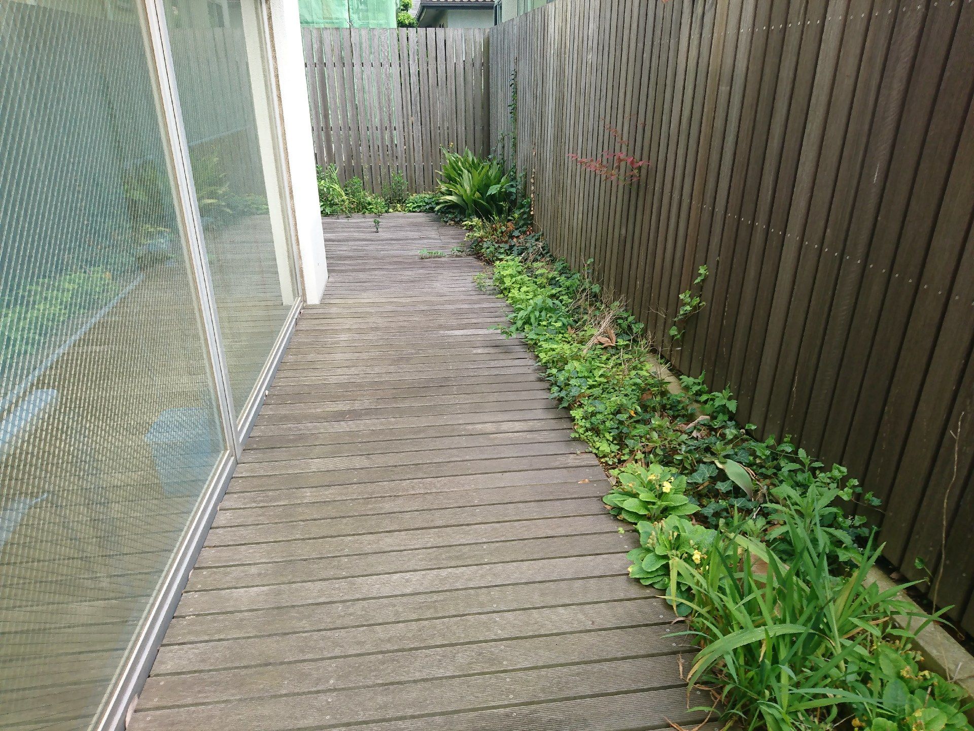 背の高い壁が付いたウッドデッキ。壁際にはぎっしりと緑が植えられている。