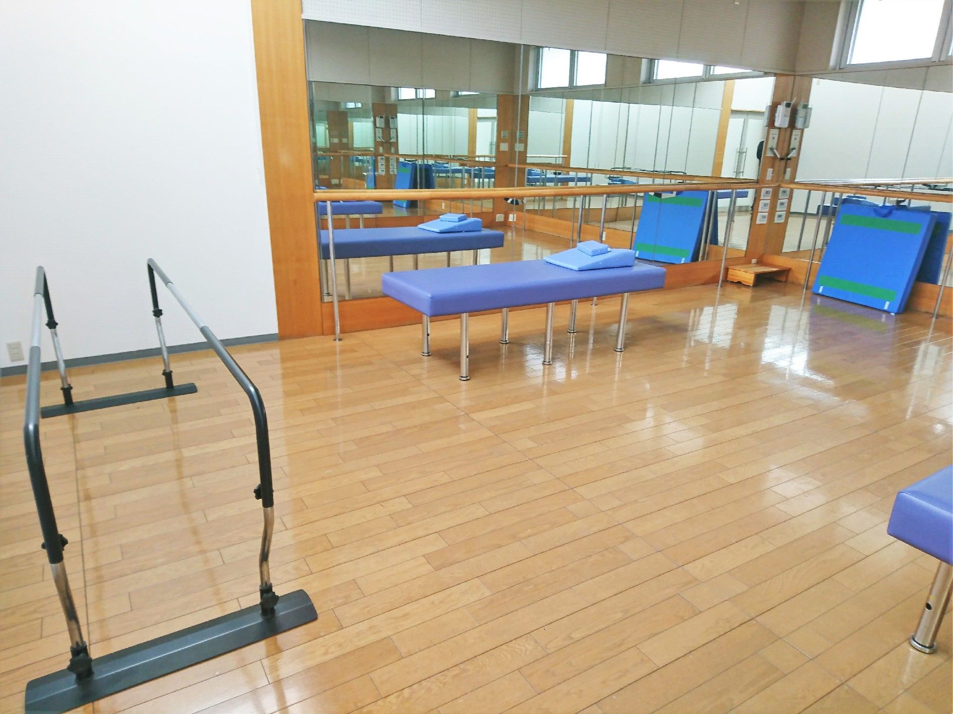 左側に平行棒、右側にベッドやマットレスがある。