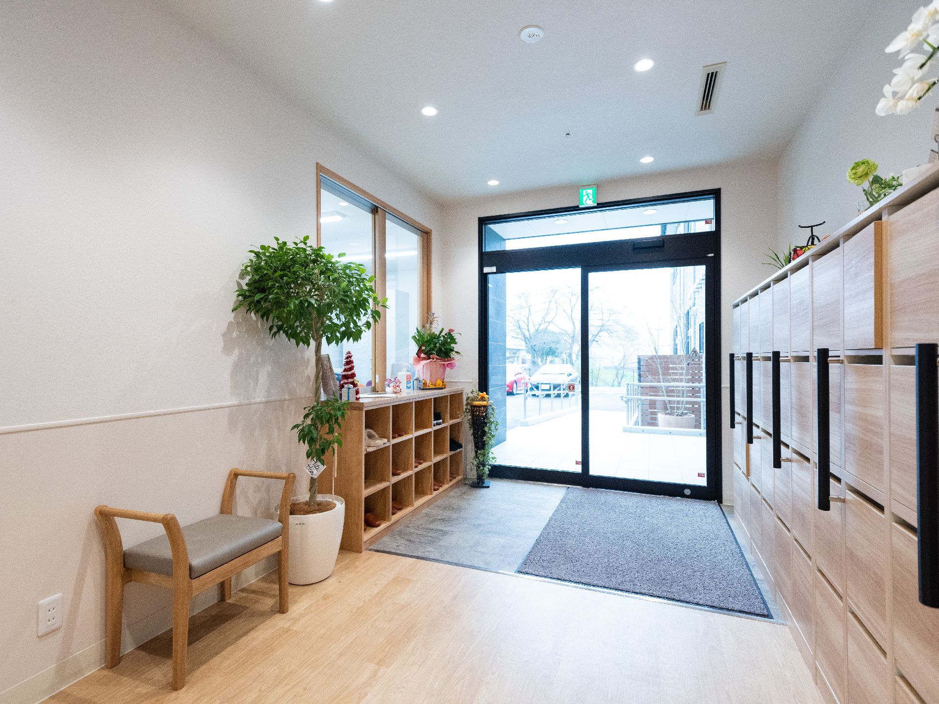 観葉植物が置かれ、来客用のスリッパやご入居者様用の靴箱があるエントランス