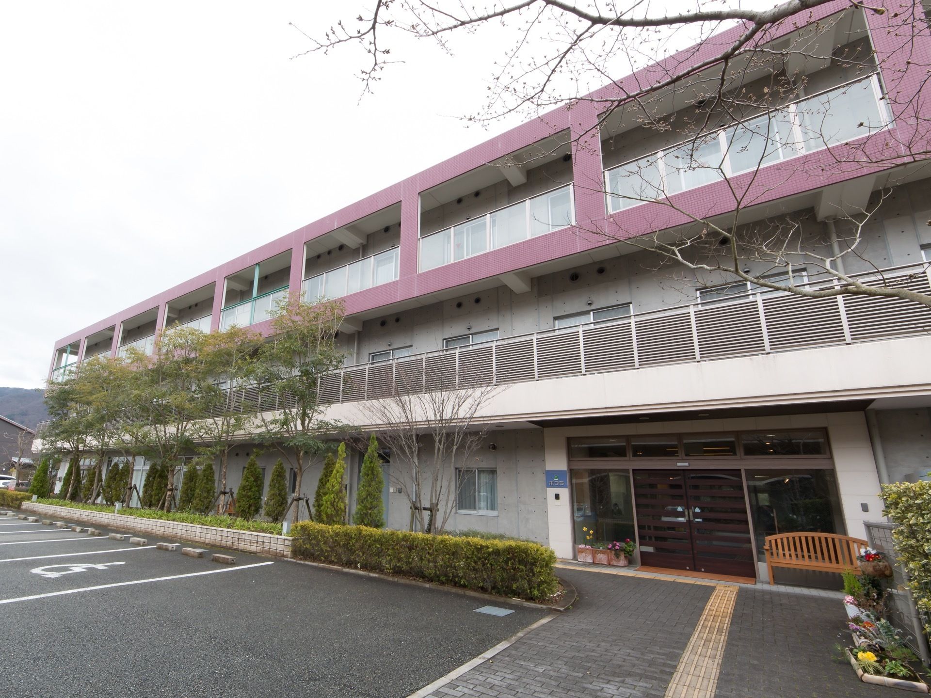 外壁はコンクリートの打ちっぱなしだが、３階部分はパープルに塗られている。建物の周りには、庭木が植栽されている。