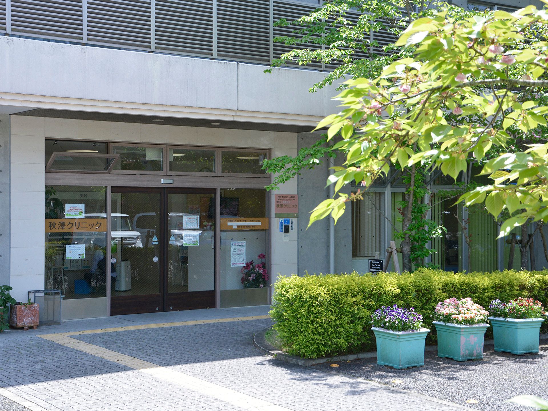 緑に囲まれた入口