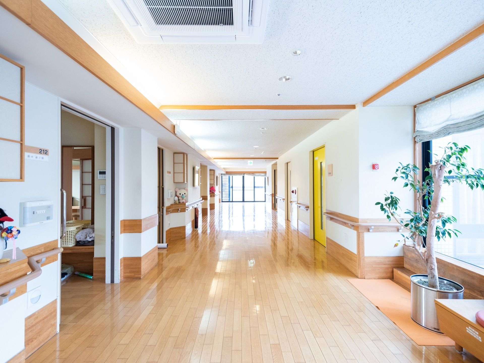 広々とした窓が備え付けられた通路である。明るい日差しが館内を照らしている。背丈の高い、観葉植物も置かれている。