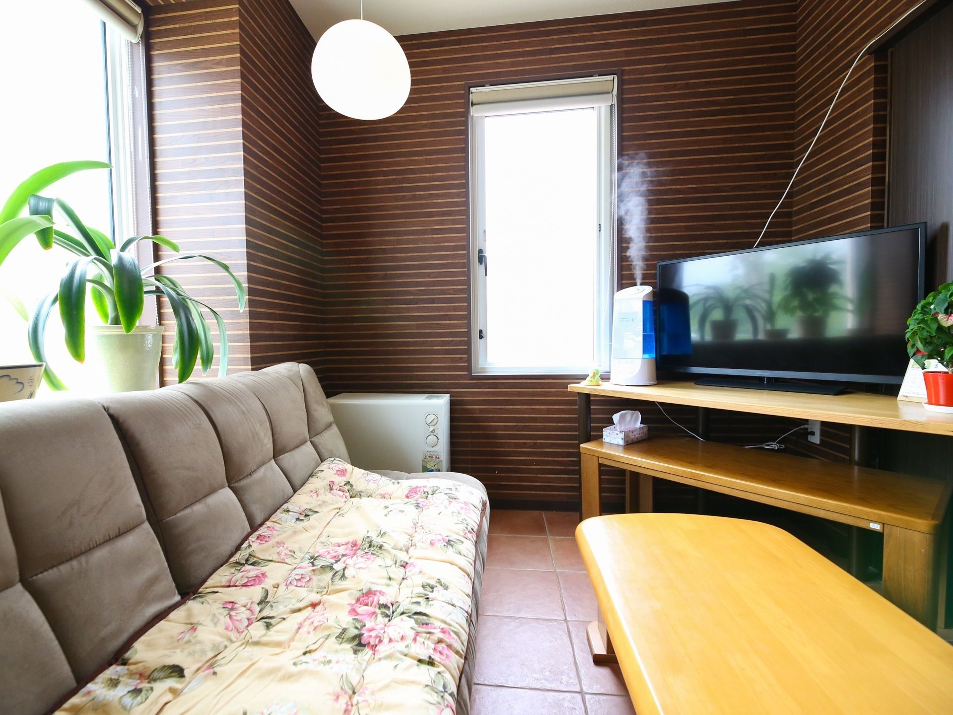 居室には茶色を基調とした壁紙が貼られている。ソファー、テーブル、テレビ、加湿器、観葉植物が置かれている。