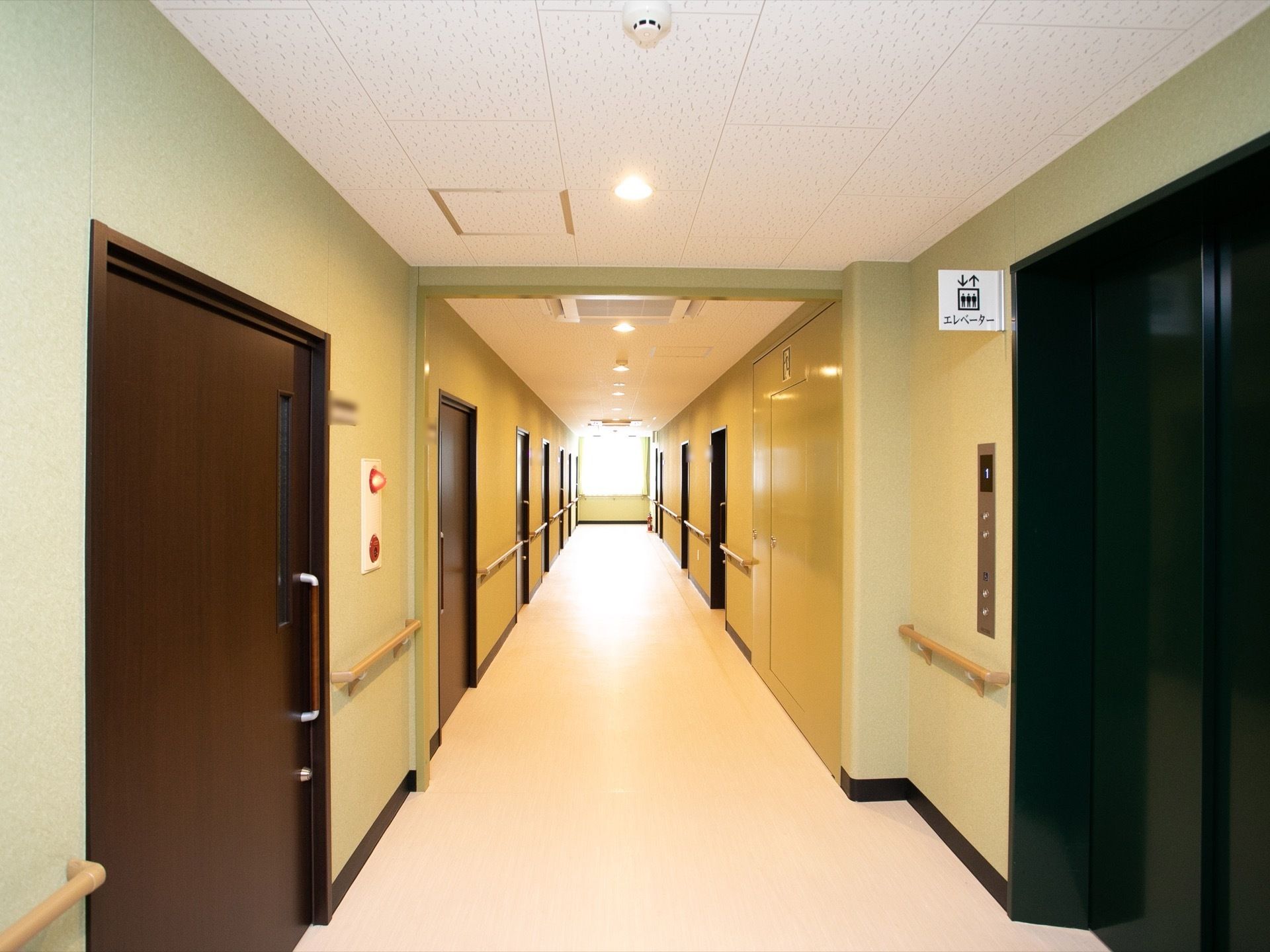明るくきれいな空間の通路である。両側には焦げ茶色のドアが並んでおり、右側にエレベーターが設置されている。
