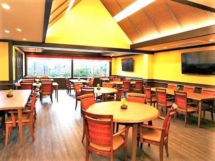 明るい食堂は天井も高く、明るい雰囲気。窓の外には緑が見える。