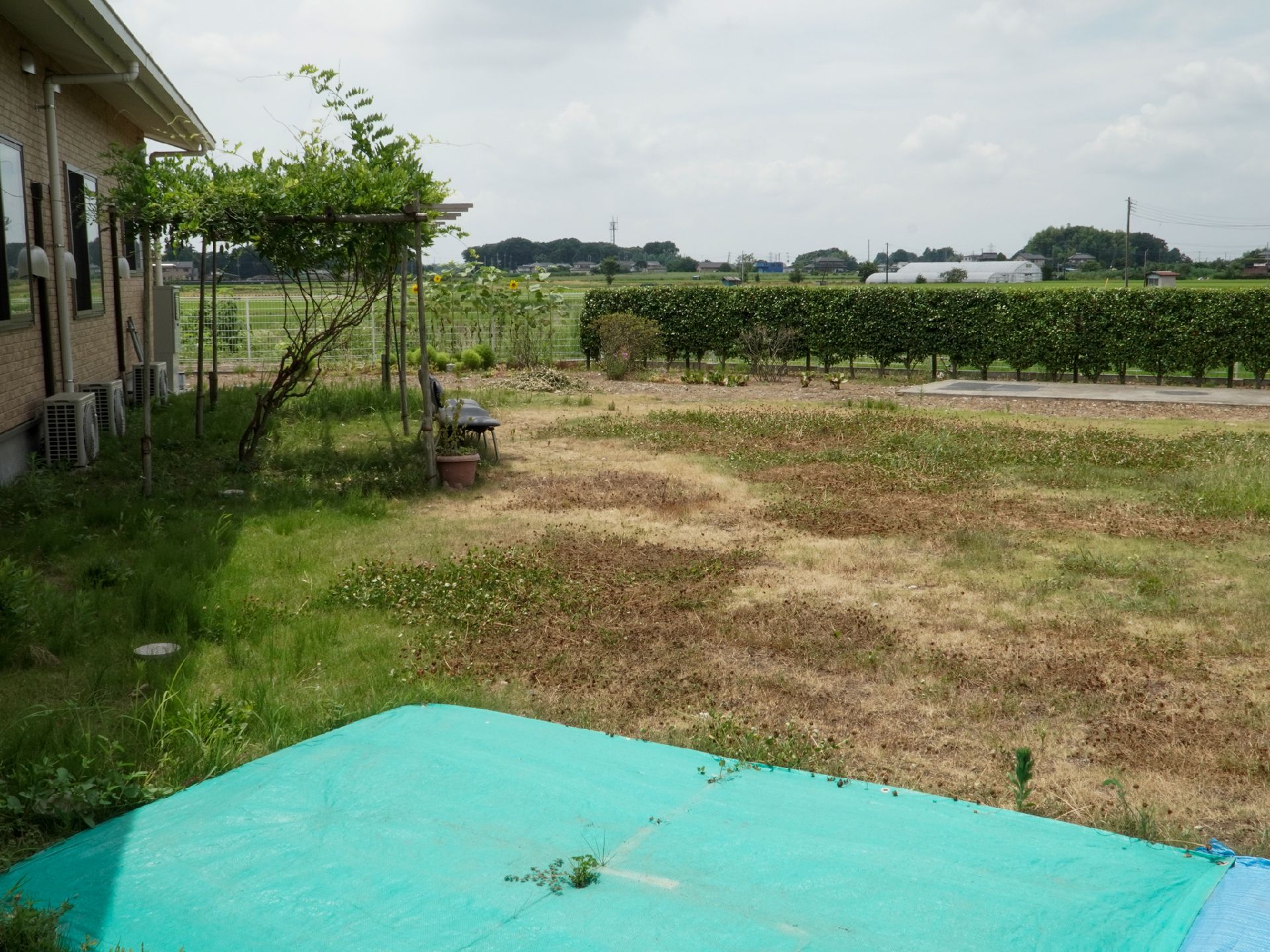 建物の横に配置された野原