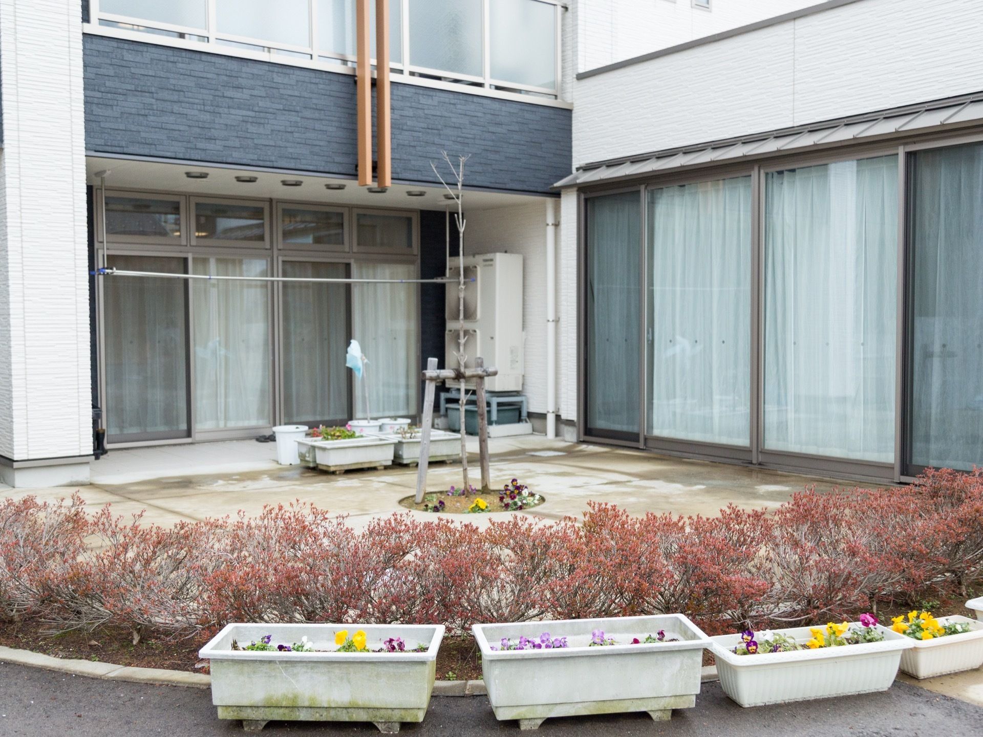 窓と窓との間にある空間は、丸みを帯びた形をしている。木の下やプランターには、カラフルな花が植わっている。